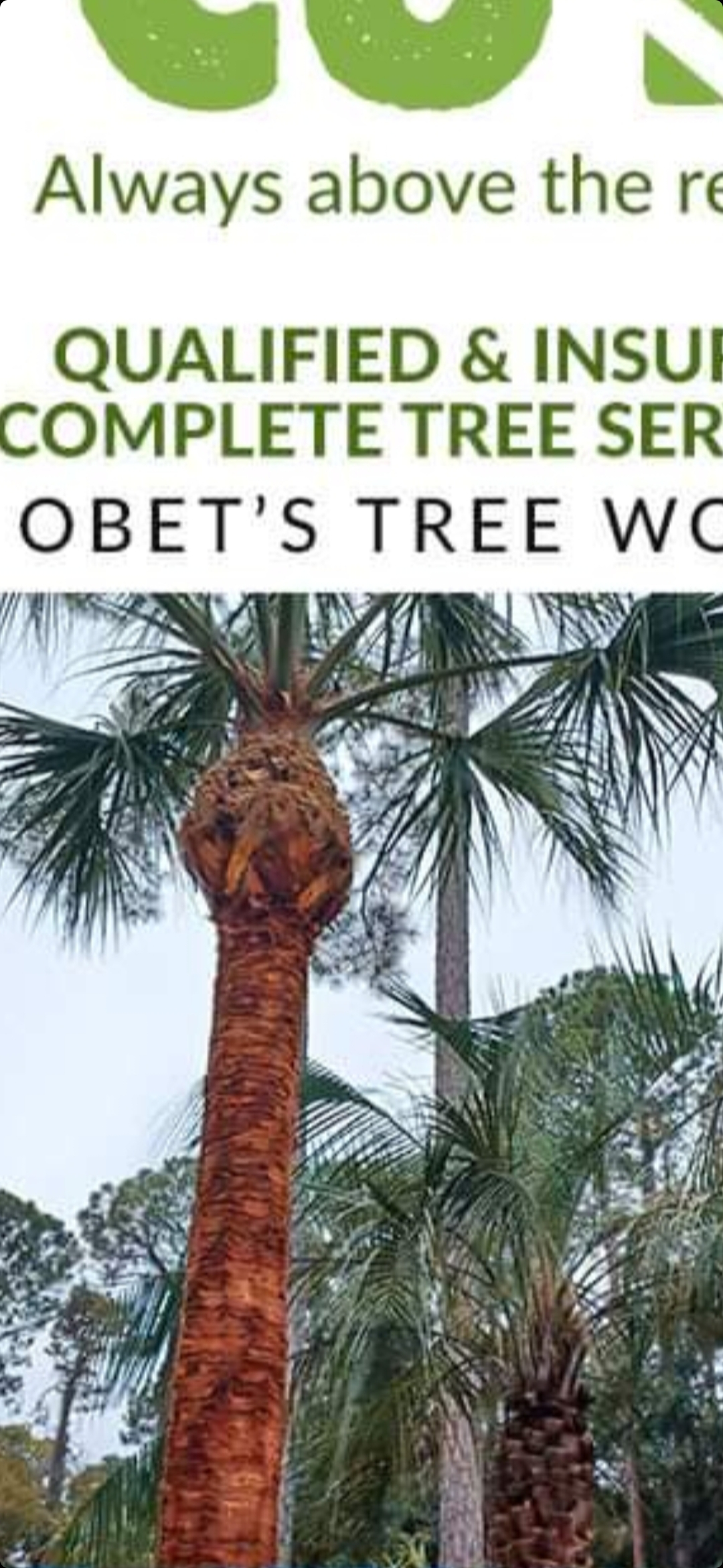 Obet's Tree Work LLC